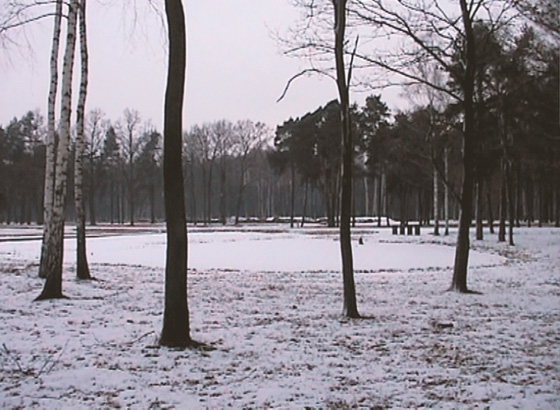 Мирослав Балка. Winterreise.Pond. 2003. Видеопроекция, видео снято в концентрационном лагере Биркенау. Собственность художника и Gladstone Gallery, Нью-Йорк