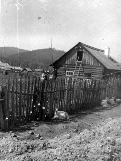 Дом Павла Литвинова в ссылке, в Верхних Усуглях, ок. 1970 г.