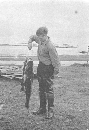 Рыбинское водохранилище, начало 1950-х